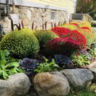 Fall planting job – Reddit Post