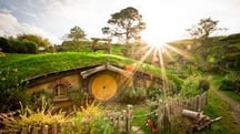 what are like best happy songs for gardening? like happy stuff! (roughly like in this playlist)
