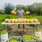 I’d say this years fall harvest was a success! – Reddit Post
