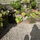 Succulents. – Reddit Post