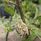 10 pics from my time in horticulture – Reddit Post