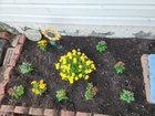 Mums transition – Reddit Post
