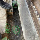 Advice on bringing life back to a garden