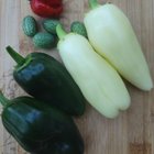 My random harvest – Reddit Post