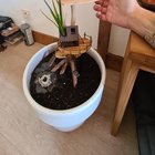 Update in progress… – Reddit Post