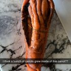I grew a bunch of carrots inside of another carrot? – Reddit Post
