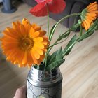 have no idea what the orange flower is but they grow in my flower patch! – Reddit Post