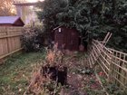 New gardener