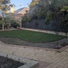 What should we plant in this bed to help screen the shed behind?