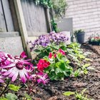 Something I’ve always struggled with when it comes to gardening is knowing what plants and flowers to buy. I prefer to get pretty flowers that will come back each year – Reddit Post