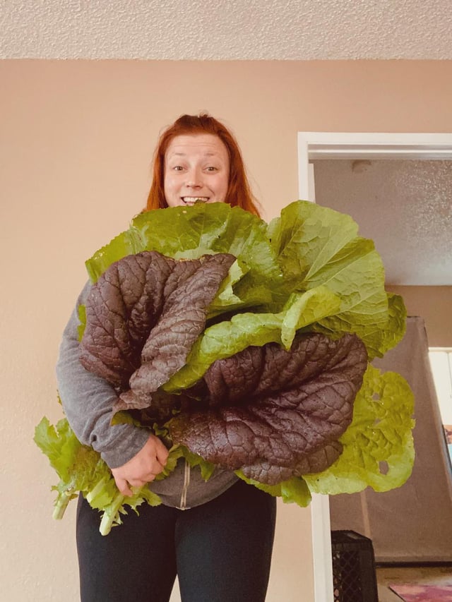 Pretty happy about my second harvest of mustard greens! – Reddit Post