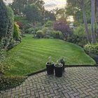 A garden that I maintain 🙂 – Reddit Post