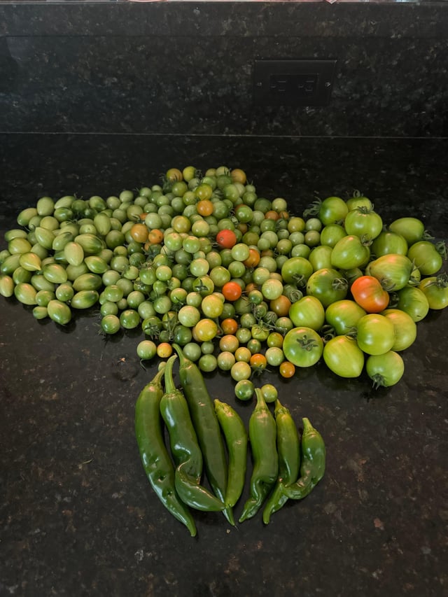 PNW “harvest” :( – Reddit Post