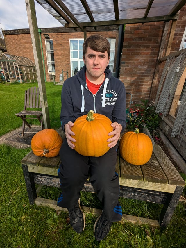 Thoughts on my first crop of pumpkins (next year I’ll try the Atlantic giant variety since these were experimental) – Reddit Post