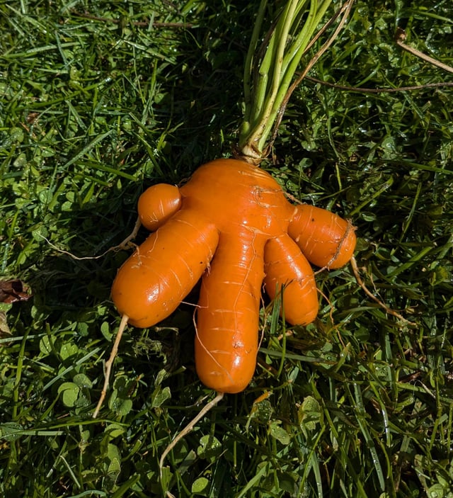 What has 5 fingers and isn’t your hand? – Reddit Post