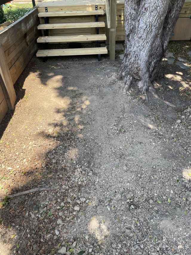 Recommendations for this area?