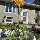 My first ever Dahlia 🤩 – Reddit Post