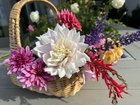 Today’s cuttings – Reddit Post