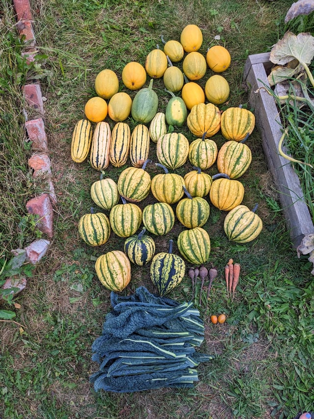 Final harvest – Reddit Post