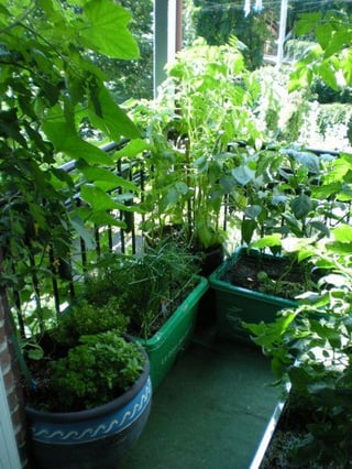 Make a garden on your balcony – Reddit Post