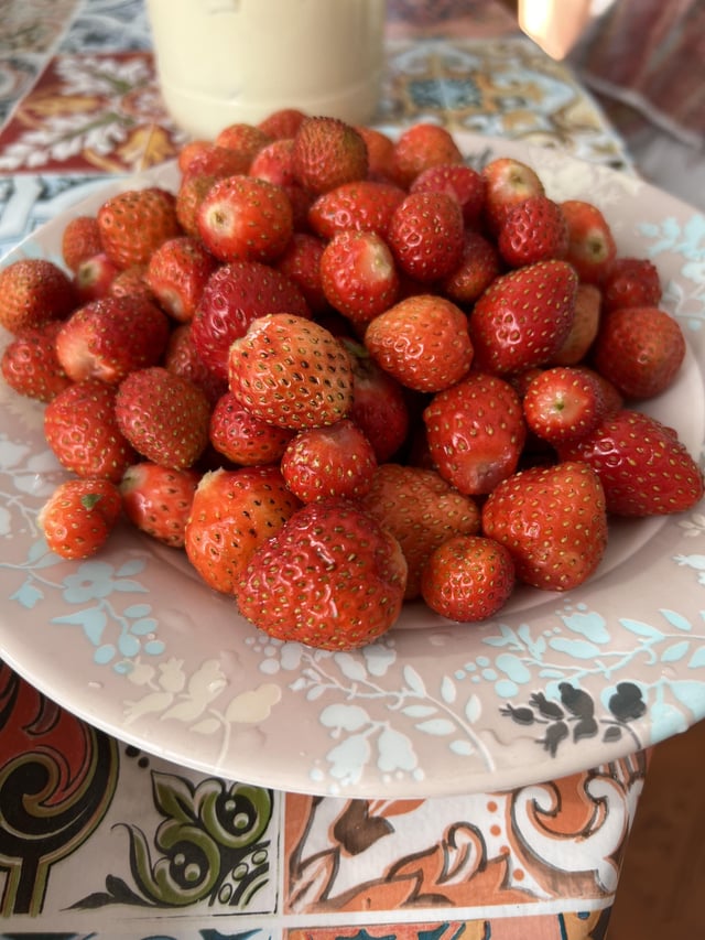 Yum! Strawberry is still going strong – Reddit Post