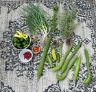 Last harvest of 2024 – Reddit Post