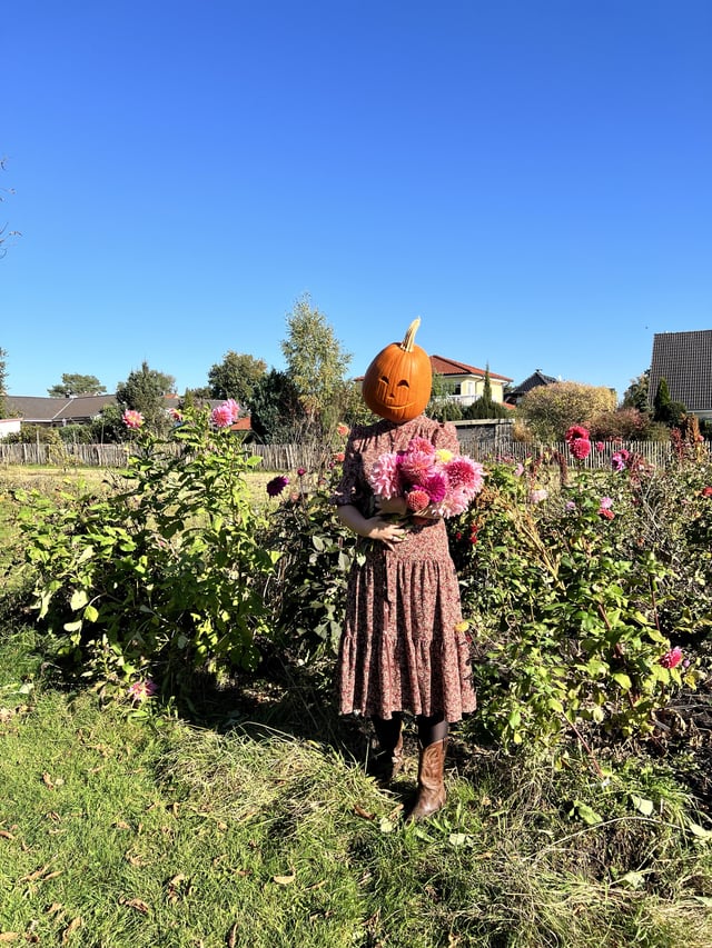 Seasonal greetings 🎃🌸 – Reddit Post