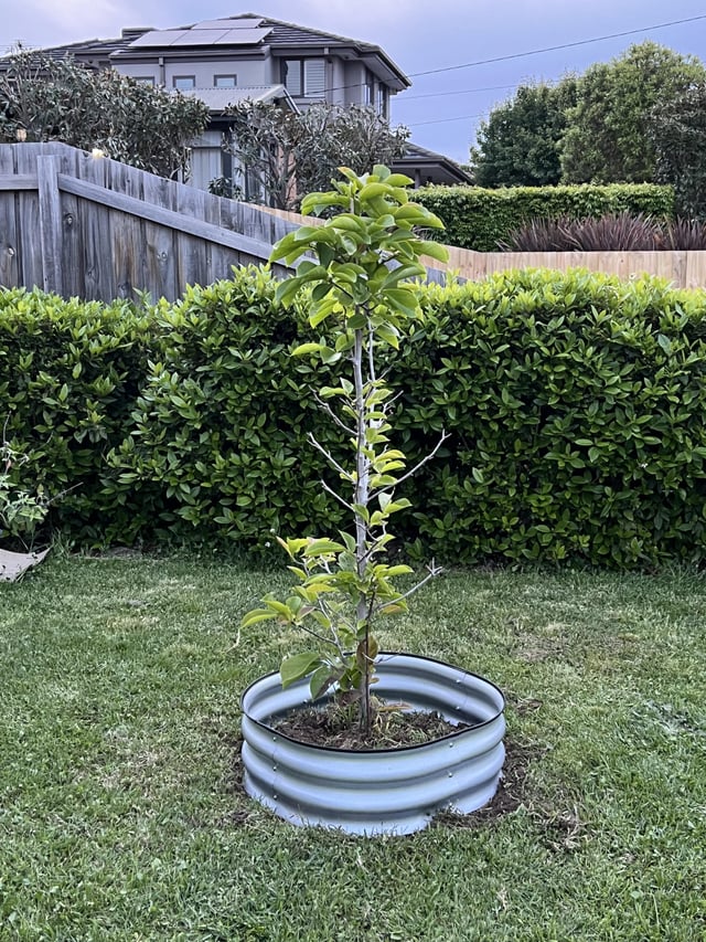 How to prevent grass from growing within edging?