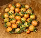 First Successful Porch Toms! – Reddit Post