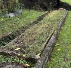 How would you fill this old horse trough with daffodils? – Reddit Post