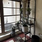 Finally got a plant stand. Went to open the windows.. waited weeks to make this.. went to take the photo…. As I’m wiping the windows all the sudden my face is 1/2 inch off of a bat that’s sleeping mouth fully open and looks like the damn crucifix. – Reddit Post