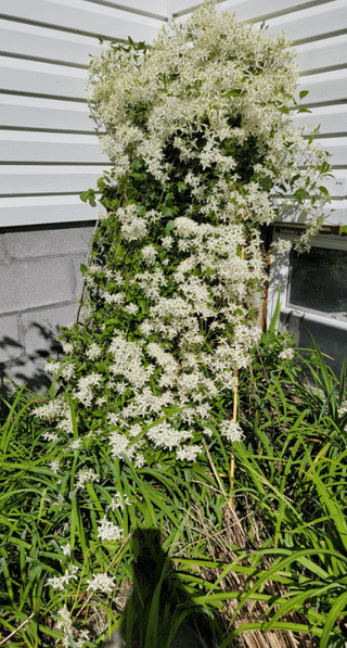 Good evening could someone tell me what this is?TIA – Reddit Post