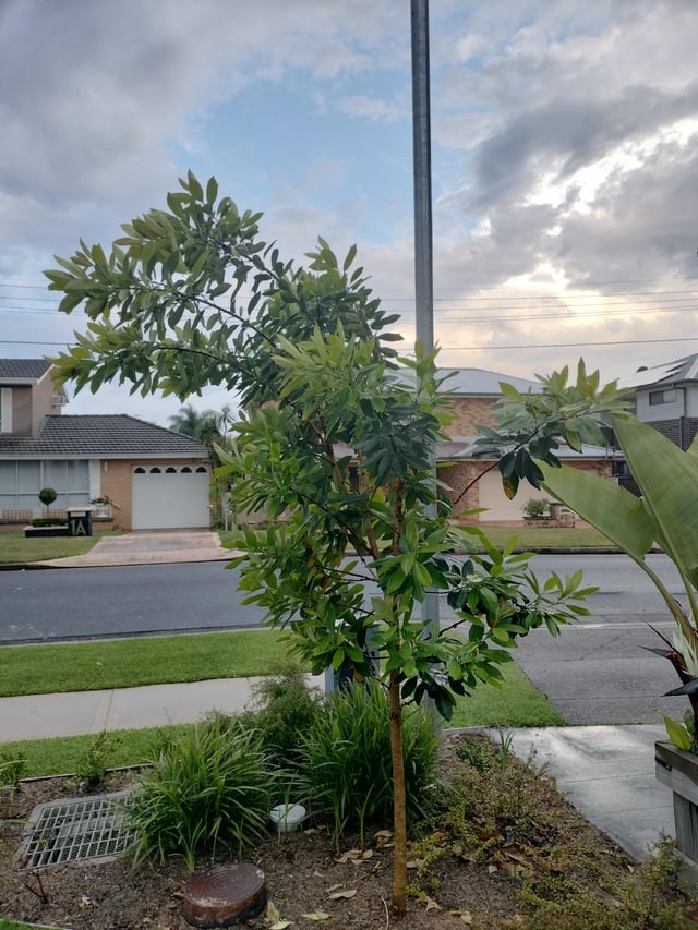 Should I be concerned about this sag?