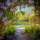 My Victorian country garden and some of it’s regular visitors