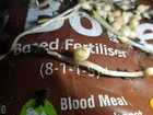 Are these bulbs off of weeds?
