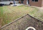 Need some advice on how to replace our current lawn