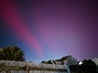 From My Garden Last Night – Reddit Post