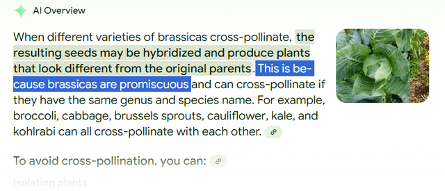 Those darn promiscuous brassicas – Reddit Post