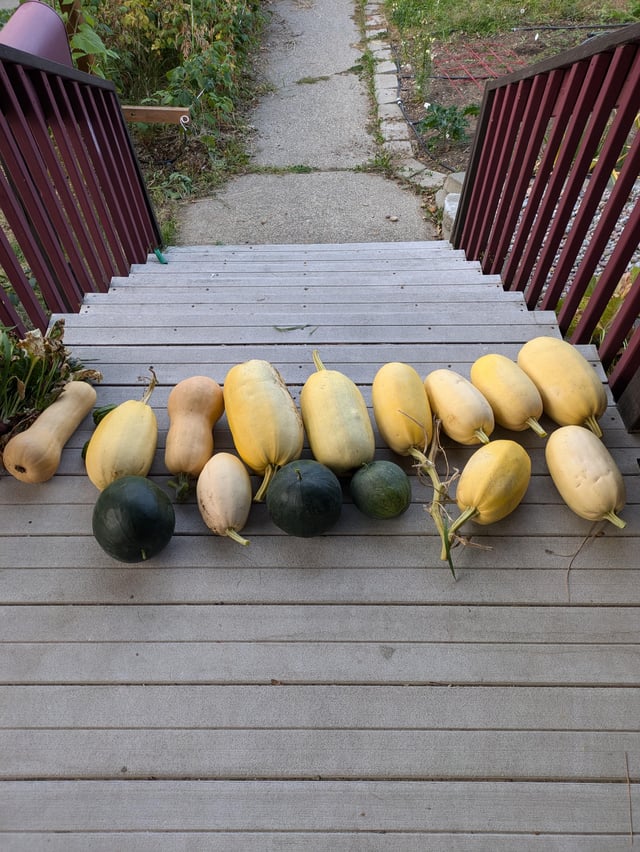 so I heard you like spaghetti squash – Reddit Post