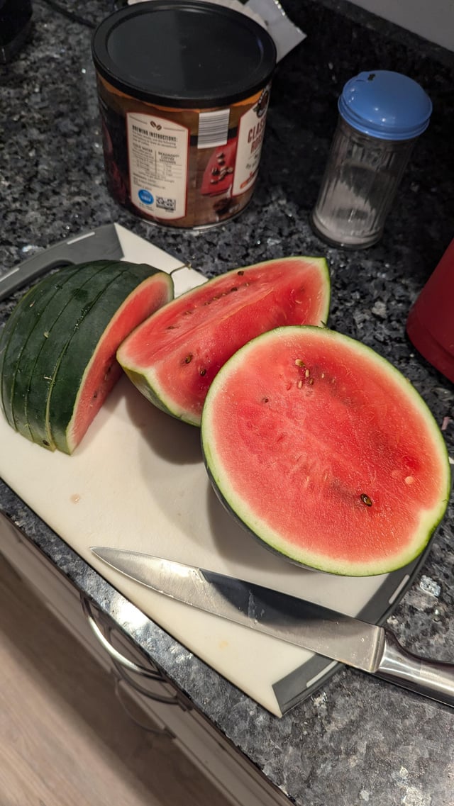 Grew my first Watermelon :) – Reddit Post