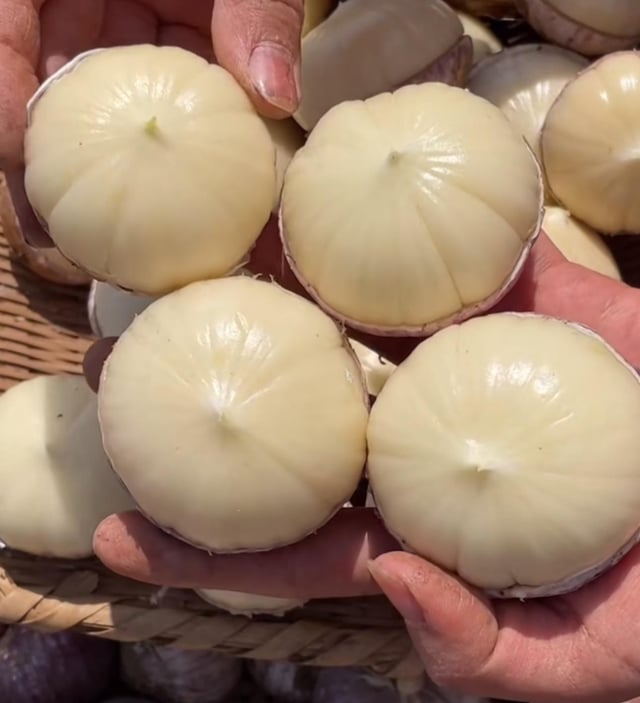 My Garlic! – Reddit Post