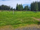 Orchard and garden update – Reddit Post