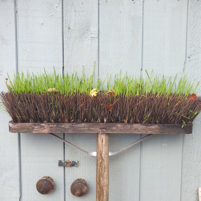 Lawn care