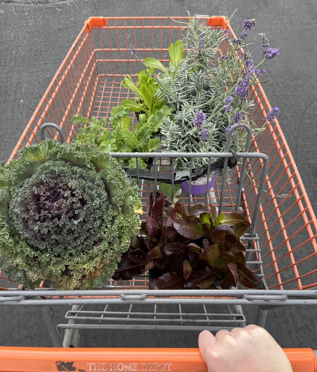 Winter garden loading 🌱 🥬 – Reddit Post