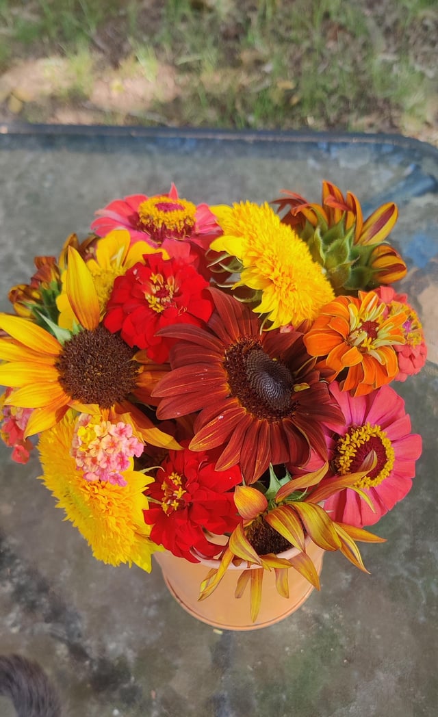 Last of the summer flowers… – Reddit Post
