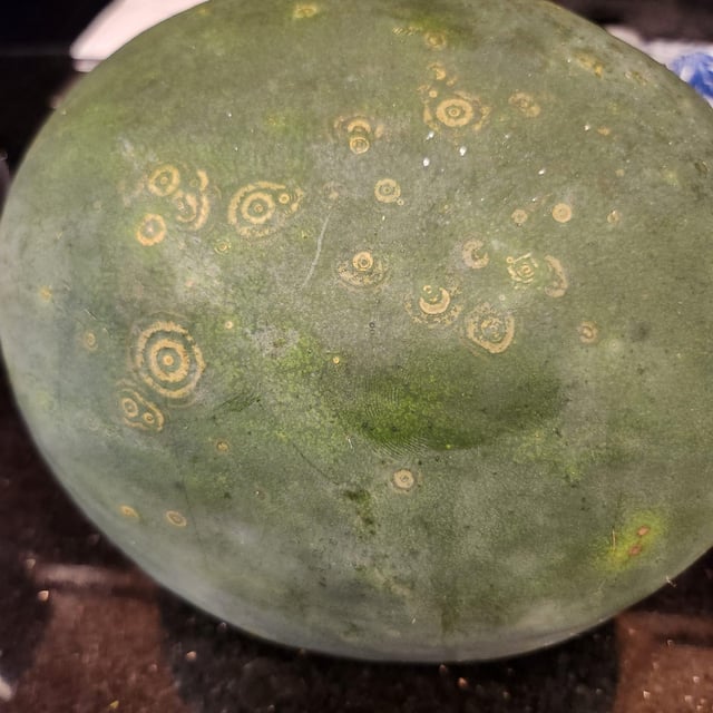 What is this on my watermelon? Is it safe to eat? – Reddit Post