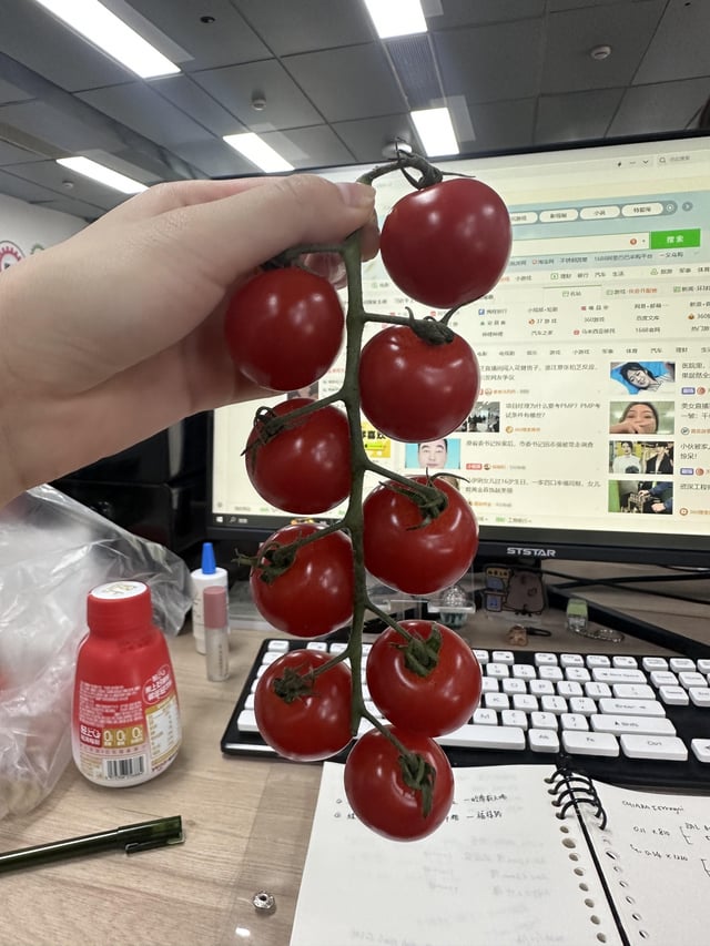 I thought it was fake model… – Reddit Post