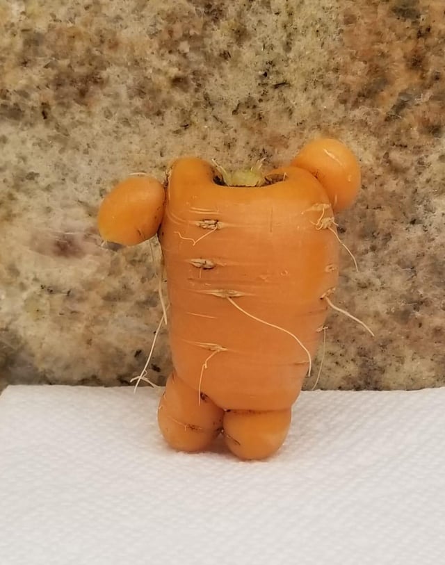 Does this carrot I grew look like it’s running to give me a hug or is the weed I grew too strong? – Reddit Post