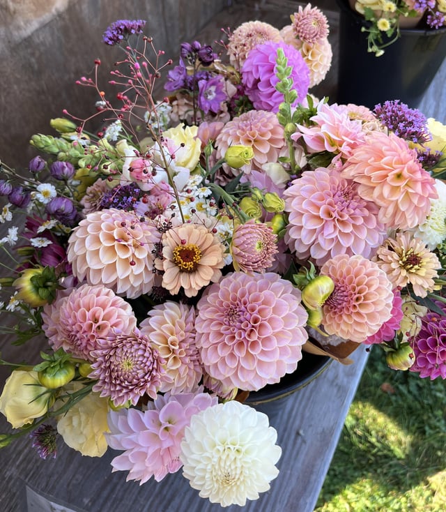 The dahlias are getting tired, and I think this may be my last good harvest. – Reddit Post