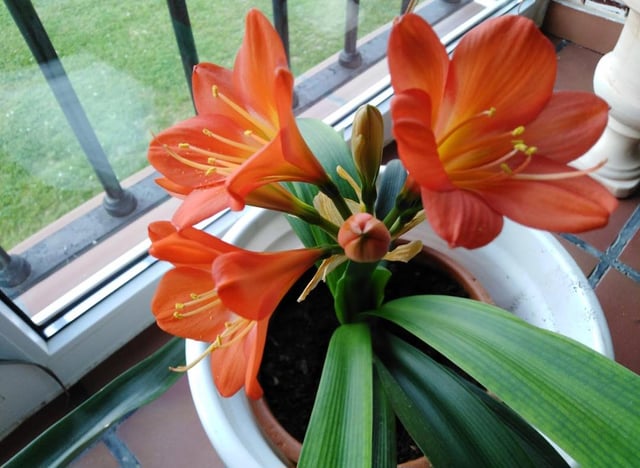 beautifuleeeee – Reddit Post